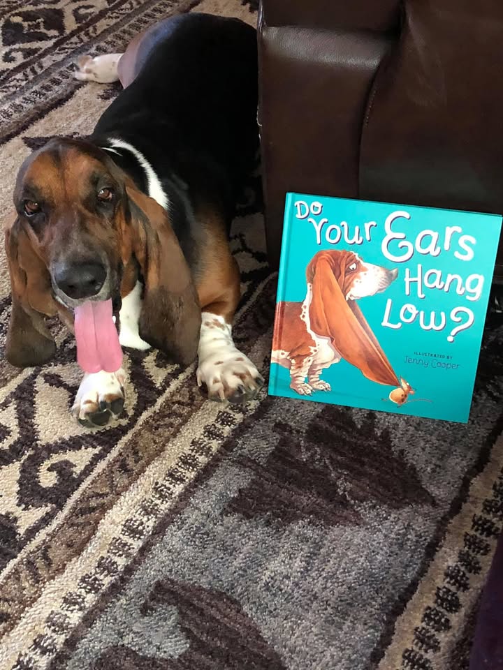 4 Paws Sitting — hero