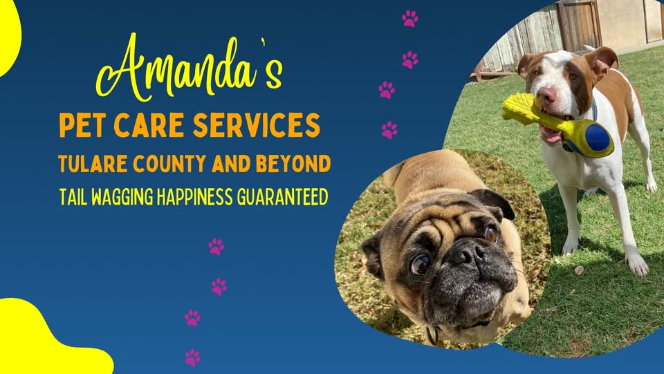 Amanda’s Petcare Services - Visalia CA — services 1