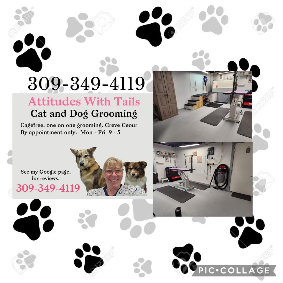 Attitudes With Tails - Grooming Salon — hero