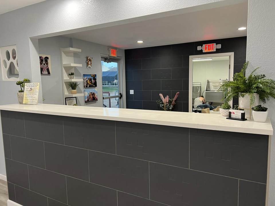 Beauty-Fur Dog Grooming Salon & Mobile — hero