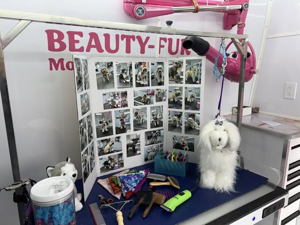 Beauty-Fur Dog Grooming Salon & Mobile — services 2