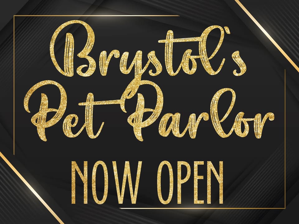 Brystol's Pet Parlor — hero