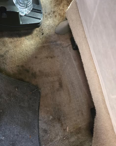 Da Wash Auto Spa — services 2
