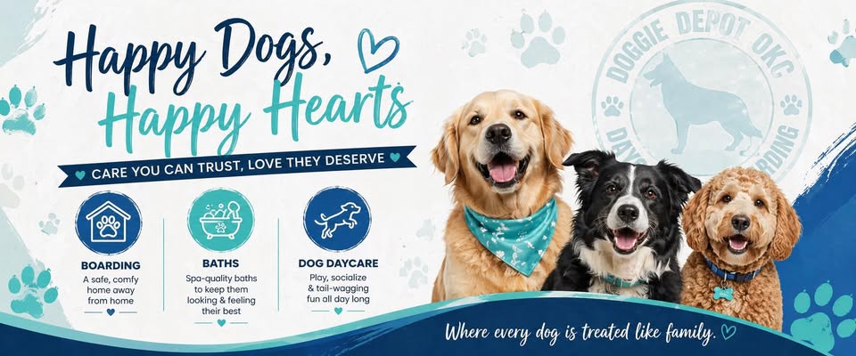 Doggie Depot OKC — hero