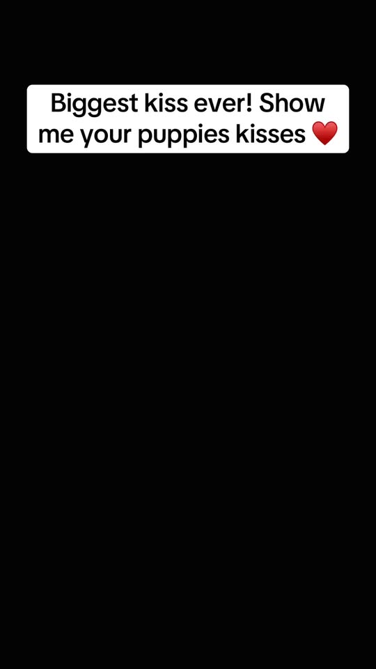 Doggone Awesome! LLC — services 1