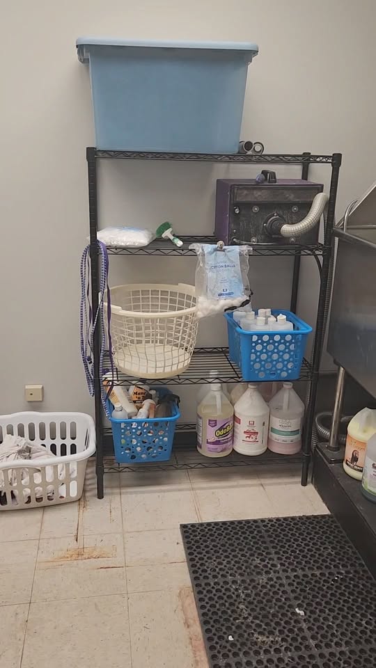 Doggy Stylez Grooming & Boutique — services 2