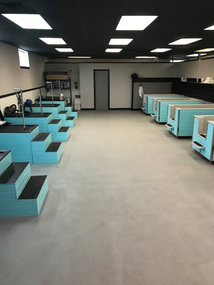 Elegant Dog Grooming LLC — hero