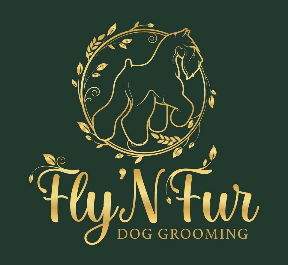 Fly’n Fur Grooming — hero