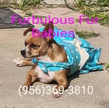 Furbulous Fur Babies Pet grooming and Boutique — hero
