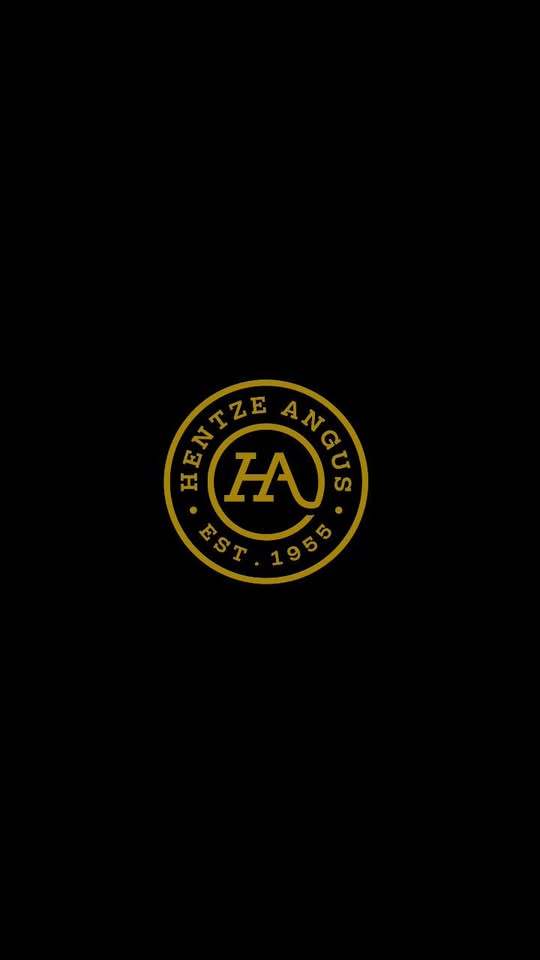 Hentze Angus — about