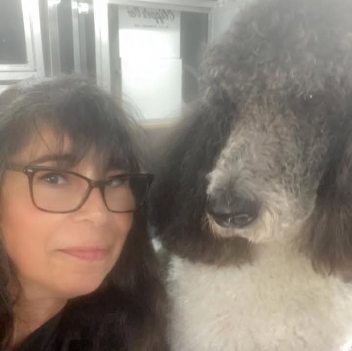 Holly's Pooch Pawlor — about