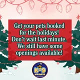 K-9 Kleaners Mobile Grooming — services 1