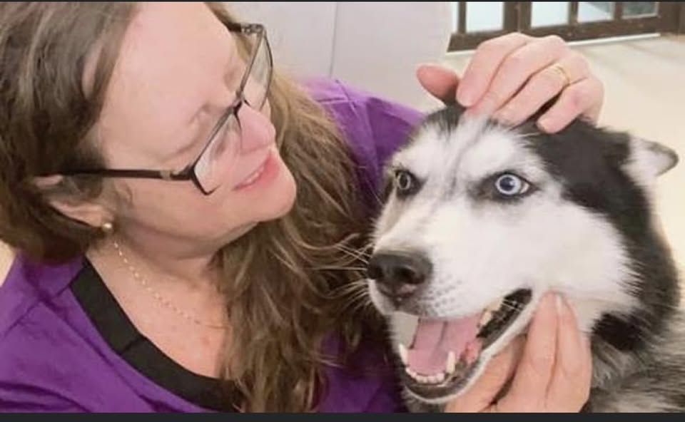 Loving and Care Pet Grooming — services 1