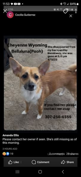 Melissa's Mobile Pet Spa — services 2