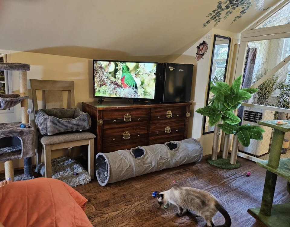 NKY Paw Pals - Luxury Pet Sitters Boarding — services 1