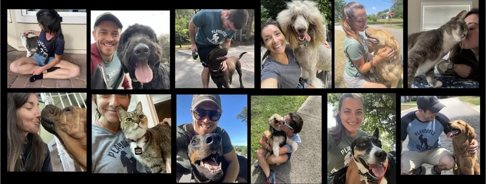 Playdates Petsitting — hero