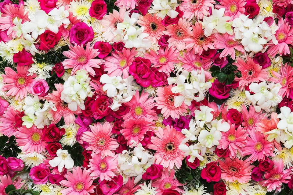 Rock Hill Flower Market Shoppe — hero