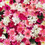 Rock Hill Flower Market Shoppe — services 2