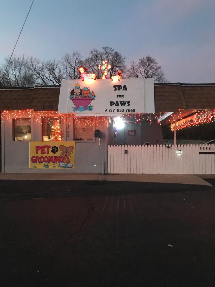 Spa for Paws — services 1