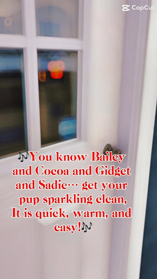 Splash ‘N’ Dash Pet Wash — about