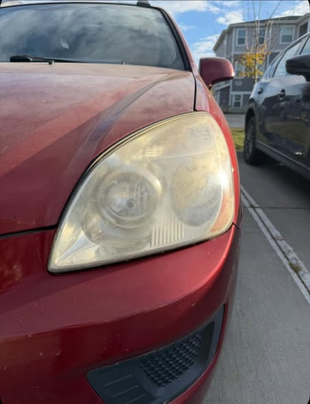 The Designated Detailer, LLC - Mobile Detailing — services 2