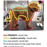 The Mobile Pet Spa — services 1