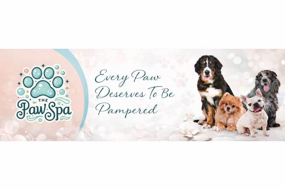 The Paw Spa — hero
