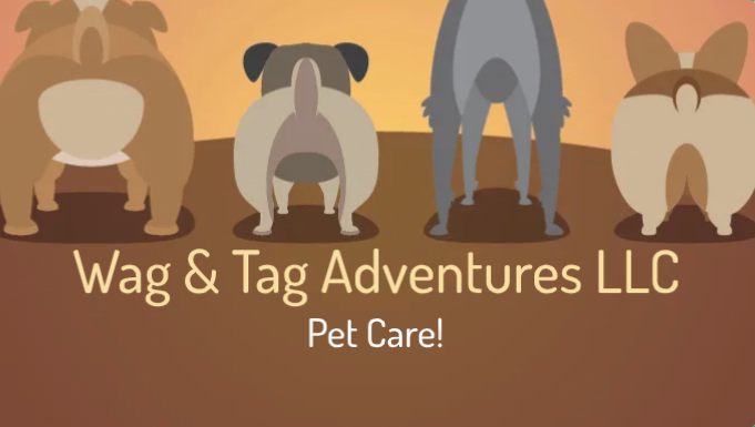 Wag & Tag Adventures — services 1