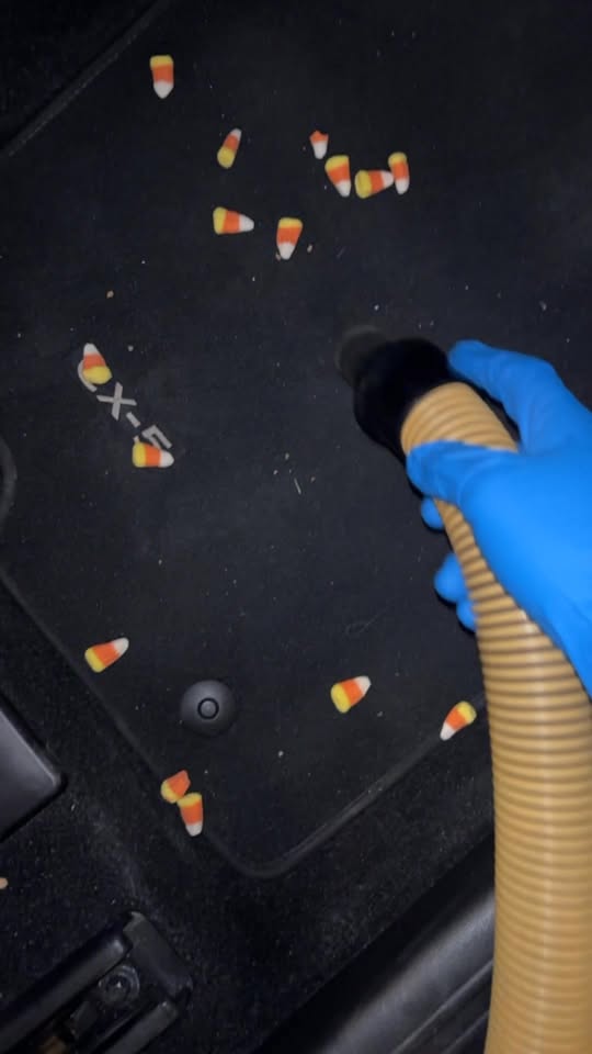 Ward Wash Mobile Detailing — services 2